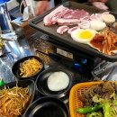588제주흑도야지