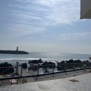 강구농업협동조합남정지점 이미지