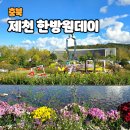 본초밥상 | 제천 본초다담 한방엑스포공원 웰니스인충북 힐링여행