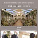 픽스라인