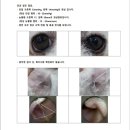 예은동물의료센터 이미지