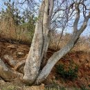 세월보건진료소 이미지