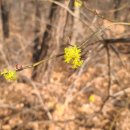 옥계2공단로2-18 이미지