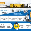 버디스크린 골프존 이미지