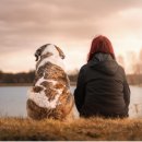 보이는세상 안경 이미지