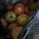 완산8통 | 94