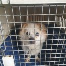 사산경로당 이미지