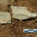 임실 가덕리 하가구석기유적 이미지