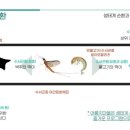 원데이원디벨롭먼트