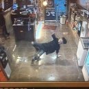 하루 PC방 이미지