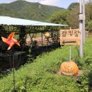 성주목장 이미지