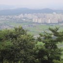 봉학교비(鳳鶴橋碑) 네이버블로그