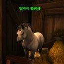 준마농장 이미지