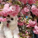 살랑살랑 이미지