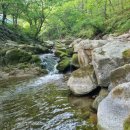 청계산장식당 이미지