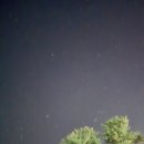 송당송당펜션앤리조트 | 제주 구좌읍 숙소 송당송당펜션앤리조트 숙박 후기 추천