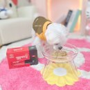 멍블리 | 강아지 홍삼 정관장 멍블리타임, 노견간식 급여 솔직 후기