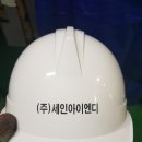(주)세인 이미지