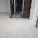 화이트맨션 Daum카페