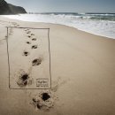 기초 생활영어 (초급) 이미지