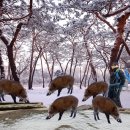 국회의원과 농부 이미지
