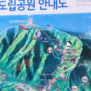 제169차 경북 구미 금오산 정기산행 이미지