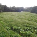 온평초등학교 이미지