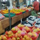 성산읍 고성오일장 이미지