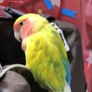 신정1동 주민센터 이미지