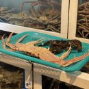 풍성한할인마트 이미지