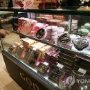 카카오초콜릿연구원 이미지