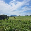 동말골농장 이미지