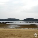 무창포카라반파크 이미지