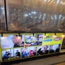 대천키조개삼합 | 대천 가족여행 저녁, 대천키조개삼합 본점 방문 후기