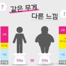 정글짐 서사라점 이미지