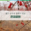 은대공원 이미지