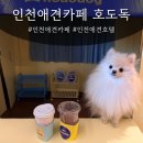 세븐일레븐(인천연수타운점) | [인천 연수] 인천 애견카페ㅣ호도독ㅣ방문후기