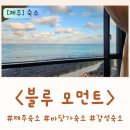 블루모먼트 | 제주 협재 숙소 한림 숙소 펜션 바닷가 숙소 감성 숙소 제주 서쪽 숙소 펜션 1인 2 블루모먼트