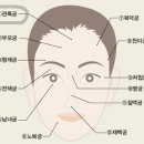 관상학 이미지