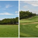늘푸른 골프존 이미지
