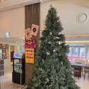 더테이블 | 압구정 로데오 파스타 맛집 더 가즈믹 테이블 후기