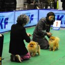 헬리우스 이미지