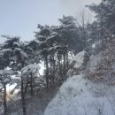 솔향민박 이미지