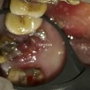 복음치과기공소 이미지