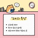 [미용후기]고양이 무마취 미용은 안전하게, 고양이에게 맞춤 교감미용으로 고양이미용실 나른하냥
