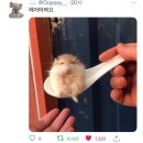 헤이(HEY)
