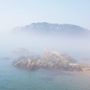 단지장골1 이미지