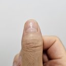 지인의 소소한 선물 나노글라스 네일파일 좋아서 사용 후기 적어본다