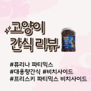 간식파티 | [고양이간식] 퓨리나 파티믹스 비치사이드 대용량 간식 후기