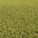 반포점 기아오토큐 | 그리다 만 추억은 앙상하지.